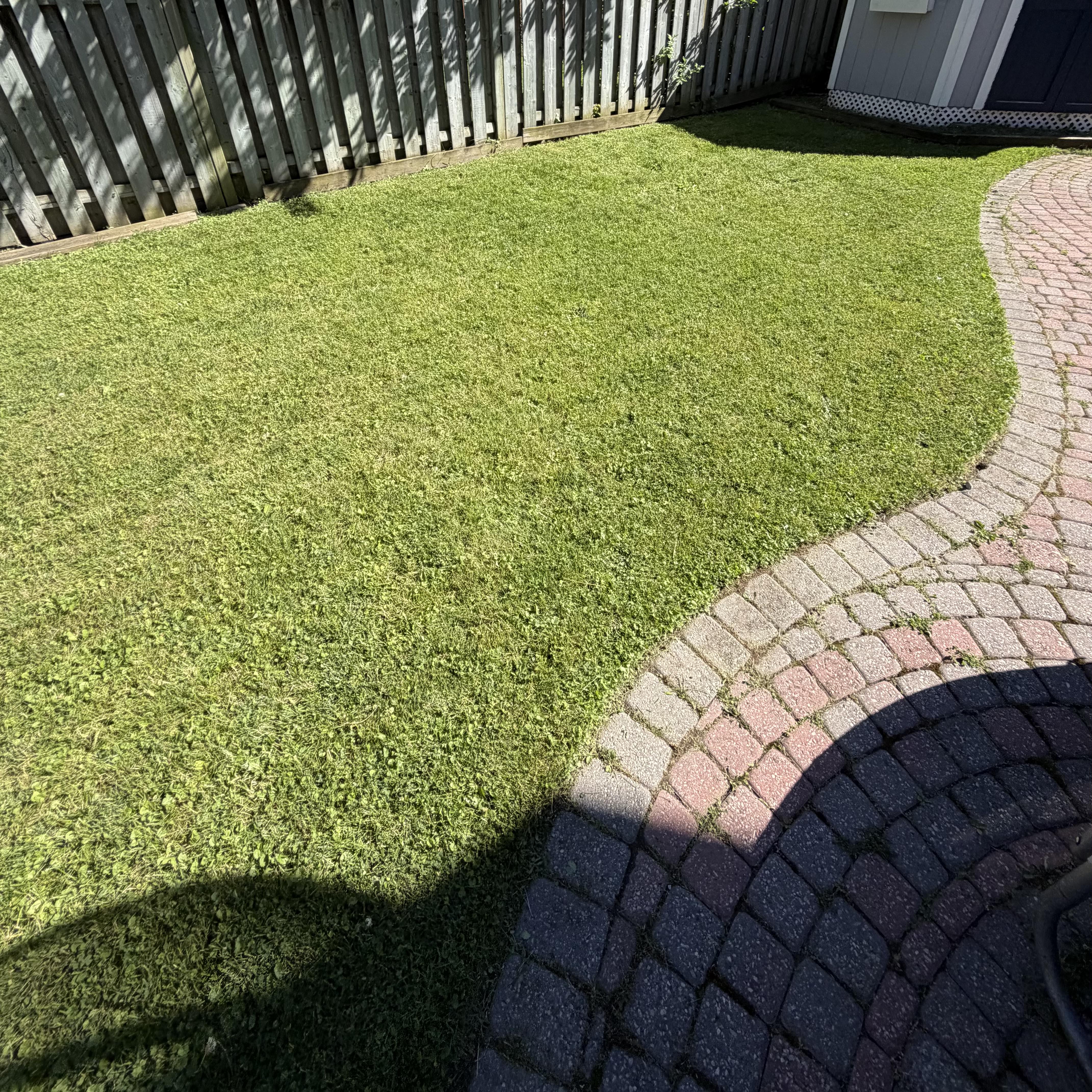 Completed seasonal cleanup